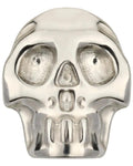 Titanium Skull