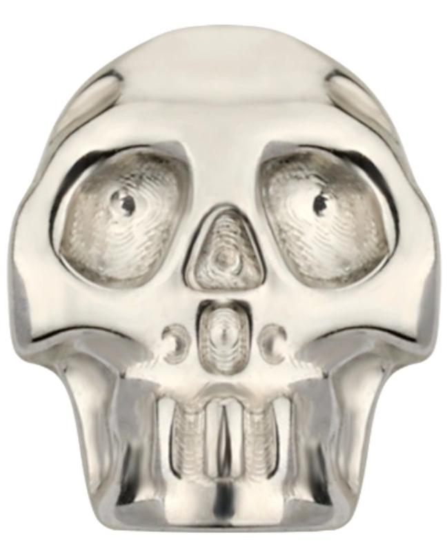 Titanium Skull