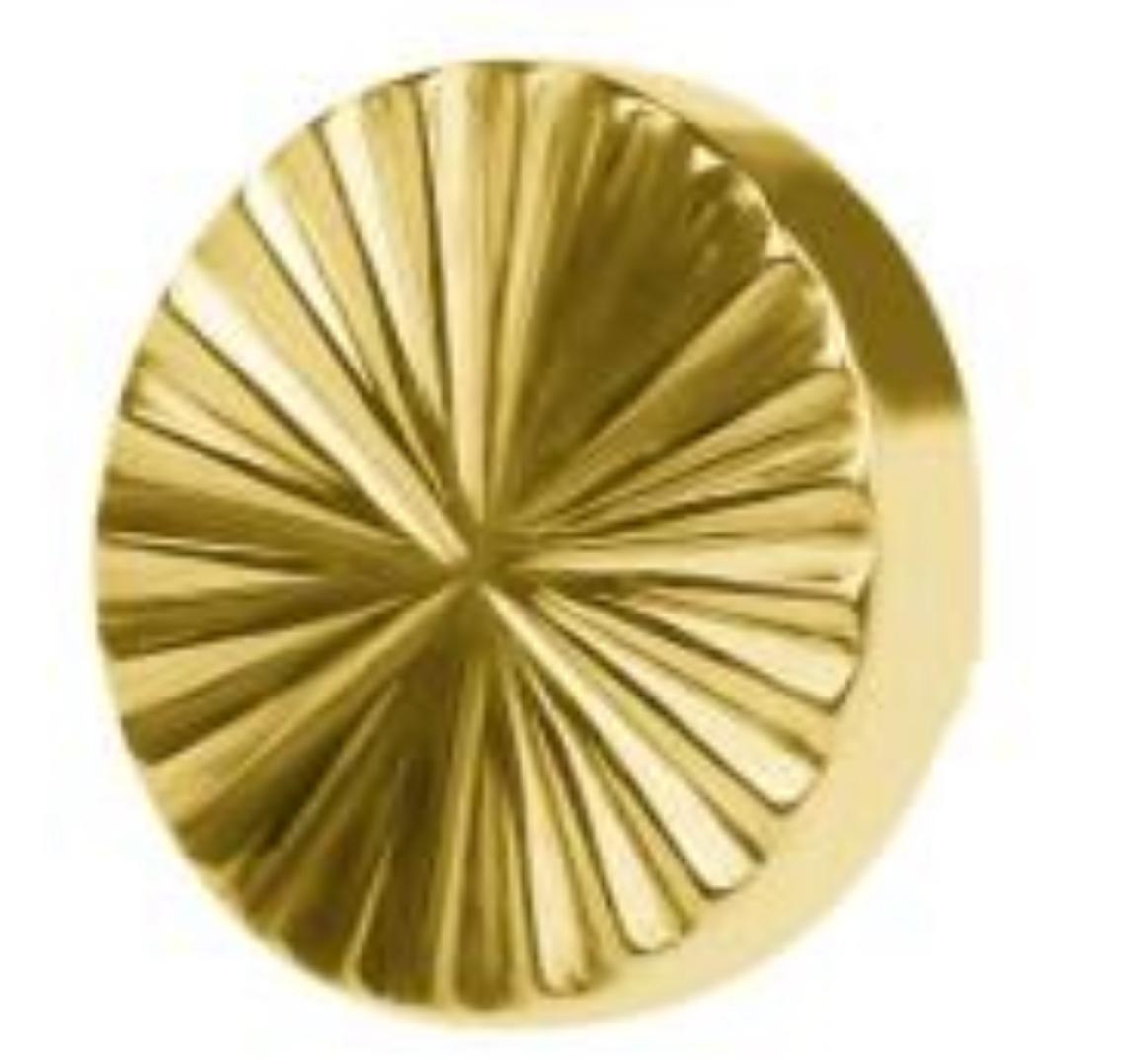 Titanium Radial Disk