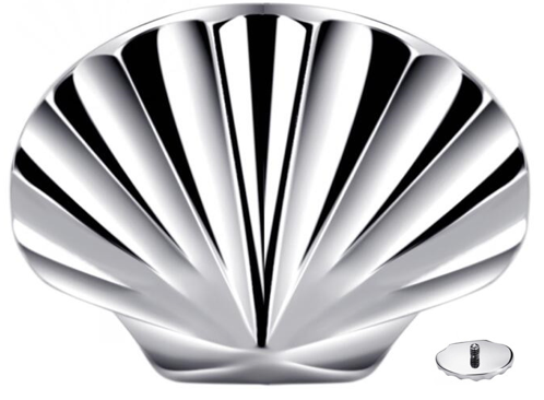Titanium Sea Shell