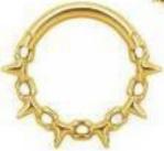 Titanium Hinge Ring Spikes and Chains