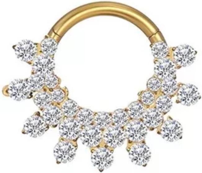 Titanium Hinge Ring Snowflake CZ