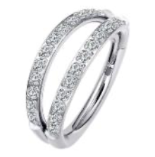 Double Titanium Hinge Ring Pave