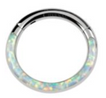 Titanium Hinge Ring with Front Opal