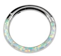 Titanium Hinge Ring with Front Opal