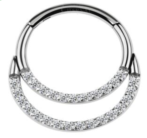 Titanium Hinge Ring Double Line Front Pave
