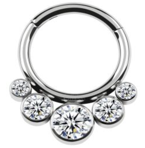 Titanium Hinge Ring with 5 Clear CZ Cluster