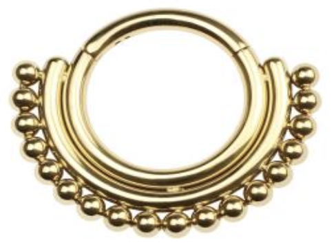 Titanium Hinge Ring Double Row Plain and Beads Cluster