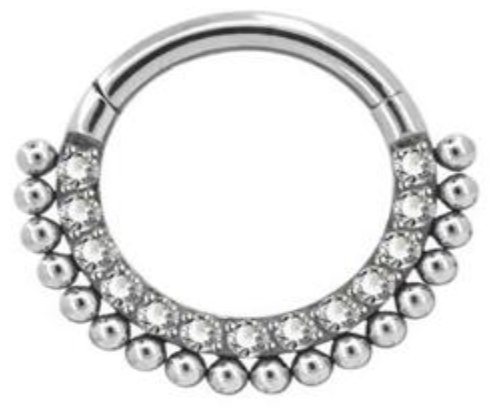 Titanium Hinge Ring Double Row Front Pave and Bead Cluster