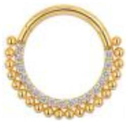 Titanium Hinge Ring Double Row Front Pave and Bead Cluster