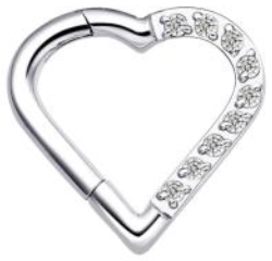 Titanium Hinge Ring Heart Half Front Pave