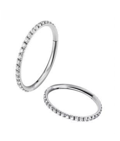 Titanium Hinge Ring with Side Pave Clear CZ