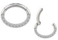 Titanium Oval Hinge Ring with Front Pave CZ