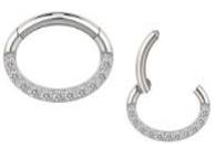 Titanium Oval Hinge Ring with Front Pave CZ
