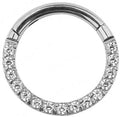 Titanium Hinge Ring with Front Pave CZ