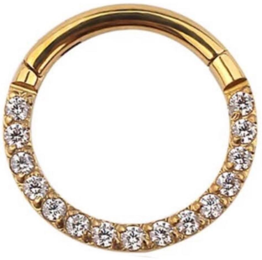 Titanium Hinge Ring with Front Pave CZ