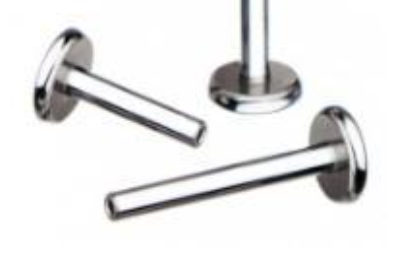 Internally Threaded Labret