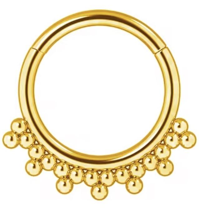 Titanium Hinge Ring with Tribead Cluster