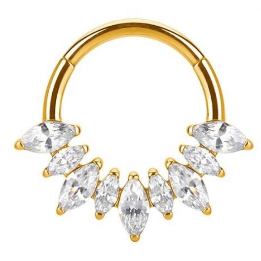 Titanium Hinge Ring Marquise CZ Cluster