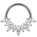 Titanium Hinge Ring Marquise CZ Cluster